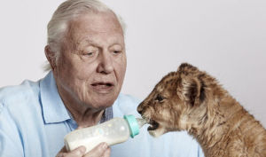 David Attenborough