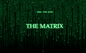 Matrix