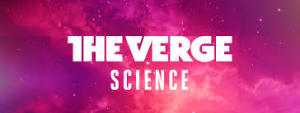 The Verge