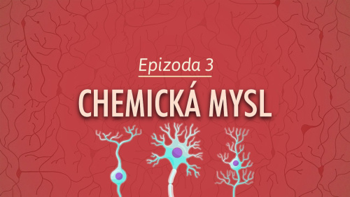 Psychologie: Chemická mysl