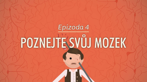 Psychologie: Poznejte svůj mozek