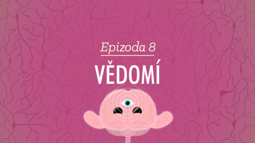 Psychologie: Vědomí