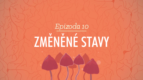 Psychologie: Změněné stavy