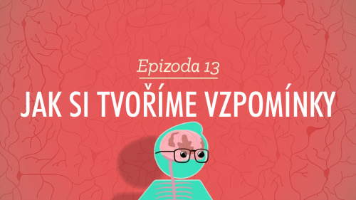 Psychologie: Jak si tvoříme vzpomínky