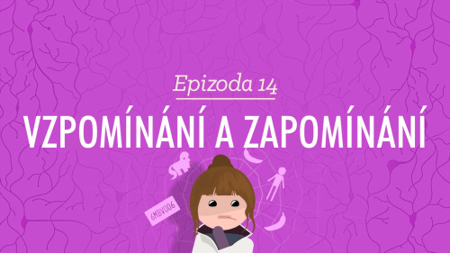 Psychologie: Vzpomínání a zapomínání