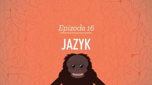 Psychologie: Jazyk