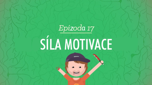 Psychologie: Síla motivace