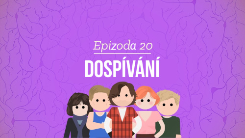 Psychologie: Dospívání